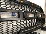 Front Bumper Grille (Raptor Style)